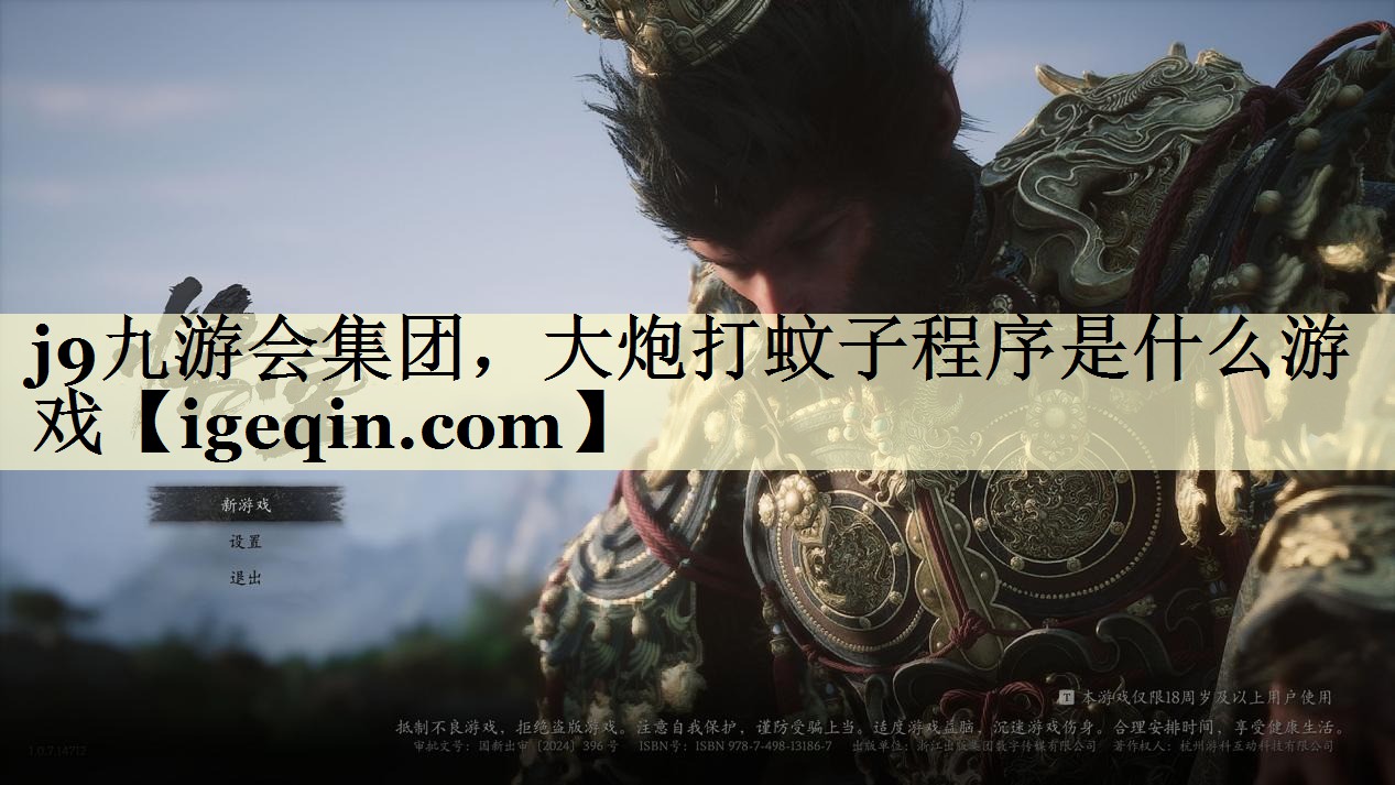 j9九游会集团，大炮打蚊子程序是什么游戏