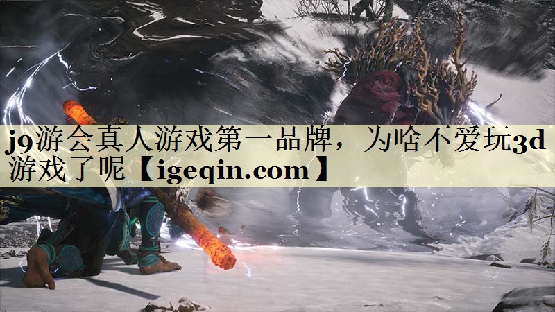 j9游会真人游戏第一品牌，为啥不爱玩3d游戏了呢