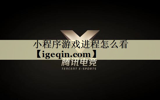 小程序游戏进程怎么看