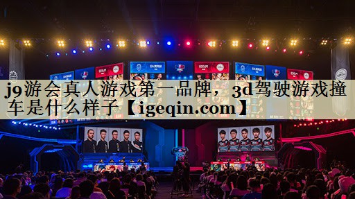 3d驾驶游戏撞车是什么样子